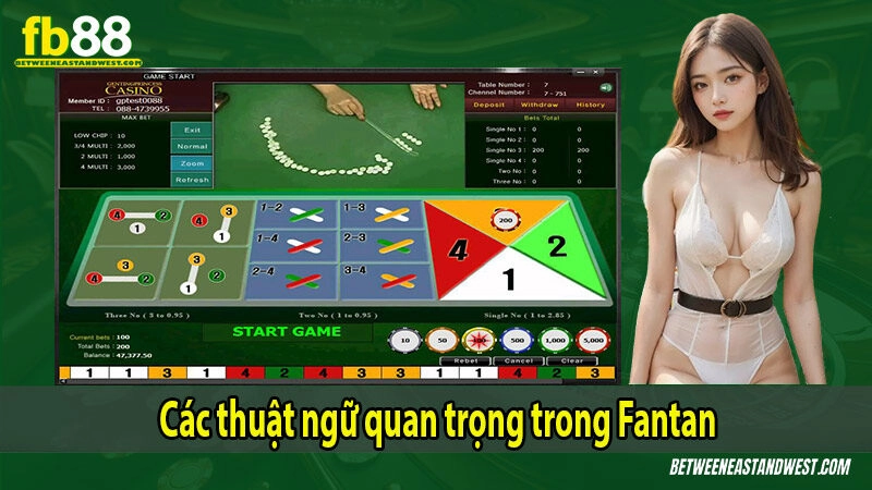 Các thuật ngữ quan trọng trong Fantan